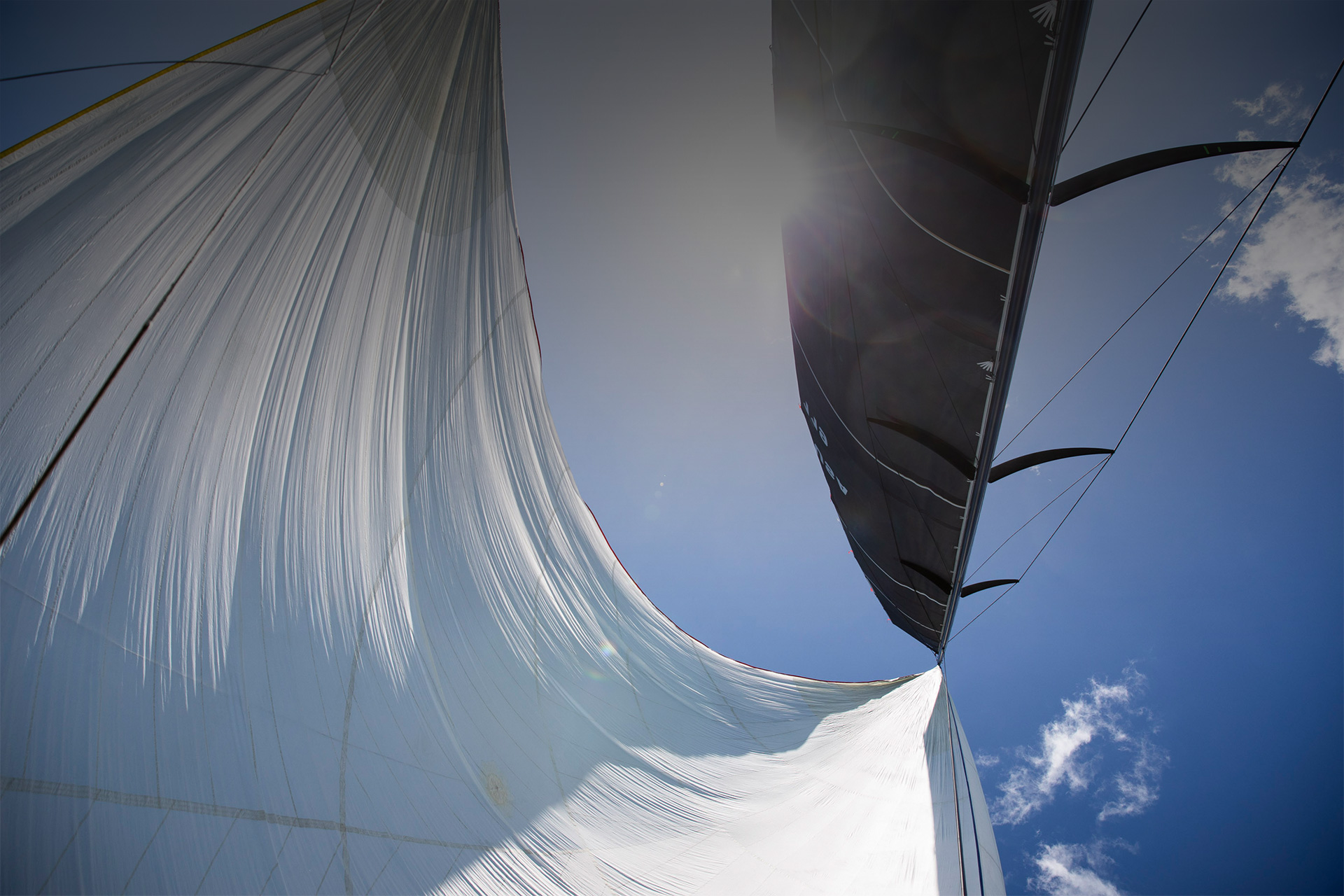 Racing the Boys - SPINNAKER - © 2025 Richard Schultz. Courtesy 50 Eggs Films